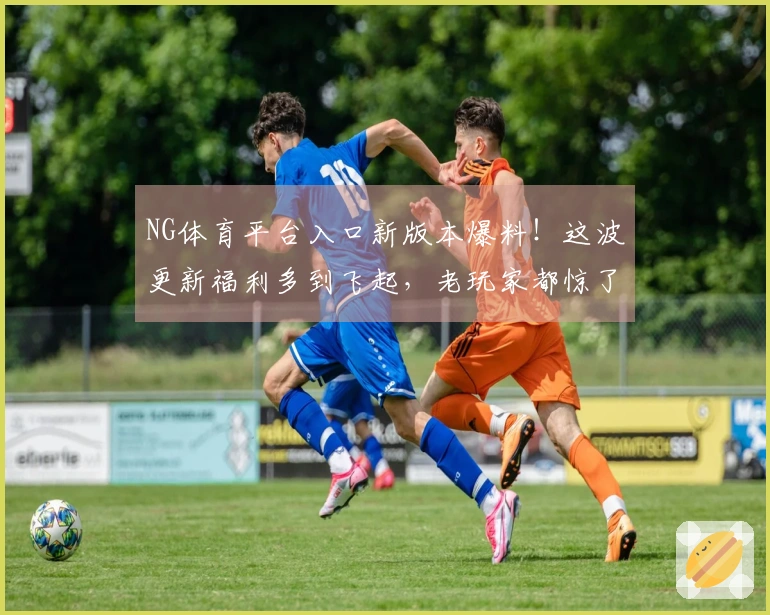 NG体育平台入口新版本爆料！这波更新福利多到飞起，老玩家都惊了！