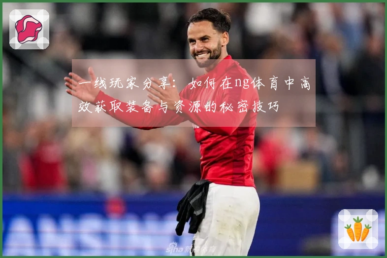 一线玩家分享：如何在ng体育中高效获取装备与资源的秘密技巧