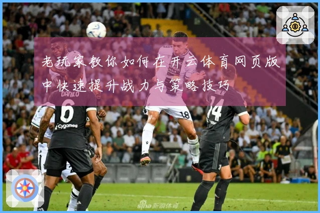 老玩家教你如何在开云体育网页版中快速提升战力与策略技巧