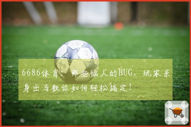 6686体育：那些恼人的BUG，玩家亲身出马教你如何轻松搞定！