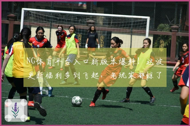 NG体育平台入口新版本爆料！这波更新福利多到飞起，老玩家都惊了！