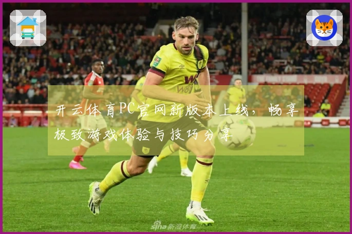 开云体育PC官网新版本上线，畅享极致游戏体验与技巧分享